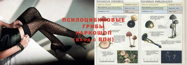 эйфоретик Алексин