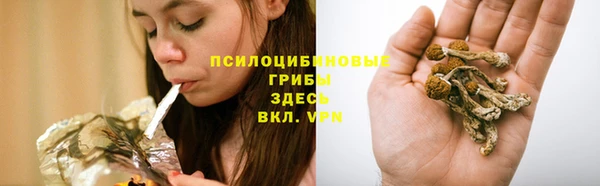 таблы Алзамай
