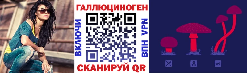 наркошоп  Пошехонье  Галлюциногенные грибы прущие грибы 